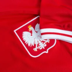 Nike Polen Away Trikot 2022-2023 -Puma Verkäufe 4cf9e3cd6476bc2ca0f12db46a3a2d90b478de28f061d19c80b81ba273204e41