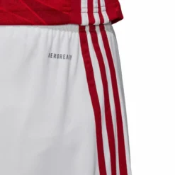 Adidas Arsenal Home Shorts 2020-2021 -Puma Verkäufe a58d19b98d74847aeb05f9049f4ee600419b3e373fa7df4d4b22885e9e1c4ed9