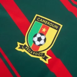 One Kamerun 3. WM Pro Trikot 2022-2023 -Puma Verkäufe d1726a6015b076050cc51b8e00dcf5d4e08035ccb109974161165d0bcfe400a6