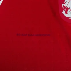 Macron Georgia 3. Authentic Trikot 2023-2024 Inkl. UEFA Euro 2024 Qualifikations Set -Puma Verkäufe fc08e67c44f3fcbebff81538417ee627f3ba2768506e3704abf3f1461806717c